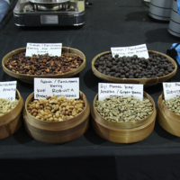 Klasik Beans, Koperasi  Pengimpor 2 Kwintal Kopi Ke Prancis Gaungkan Warga Indonesia Ngopi Sehat 