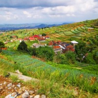Agropolitan Cianjur, Buat Kamu Yang Ingin Balik Ke Desa