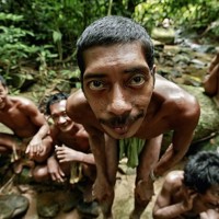Tujuh Suku Nusantara Terancam Punah