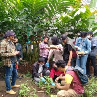 Kejutan Ulangtahun Anti Main | Info Coklat | Sobat Komunitas Indonesia